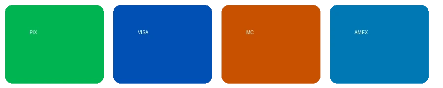 禁漫天堂支持的支付方式